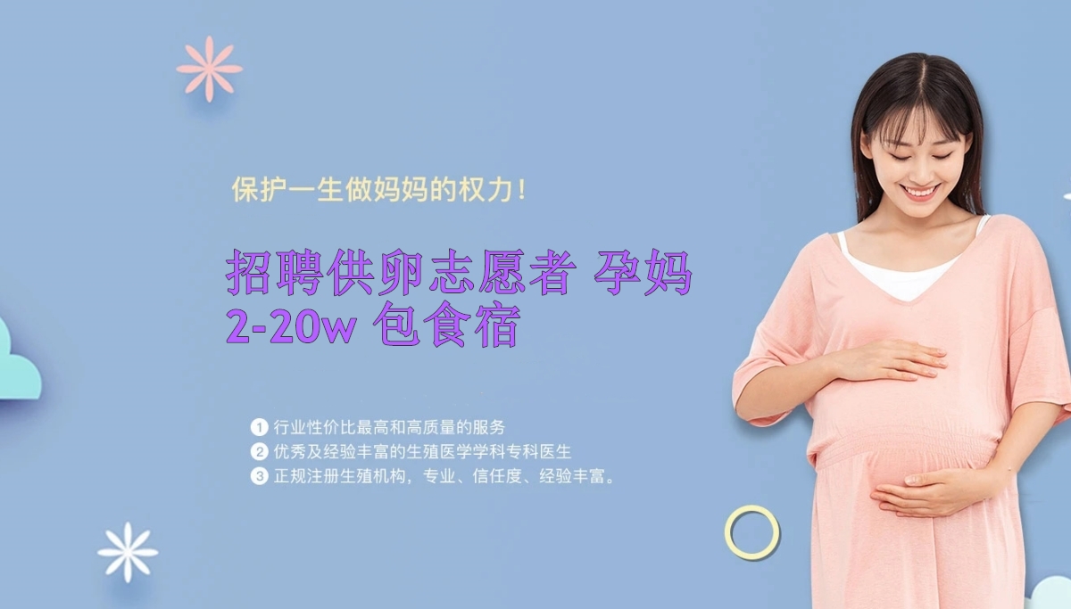 石家庄捐卵联系方式_石家庄捐卵公司_石家庄供卵网